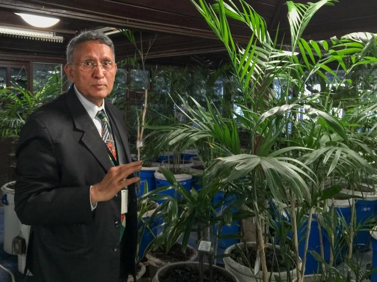 Activist Develops Way To Oxygenate Your House Using Plants...