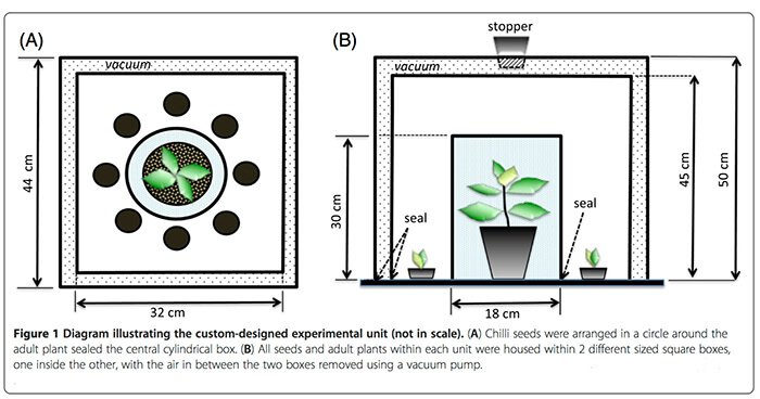 Scientists Find That Plants Can Communicate Telepathically...