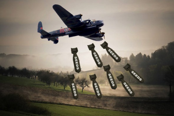 Old Military Planes Repurposed To Drop 900,000 Tree Bombs A Day...