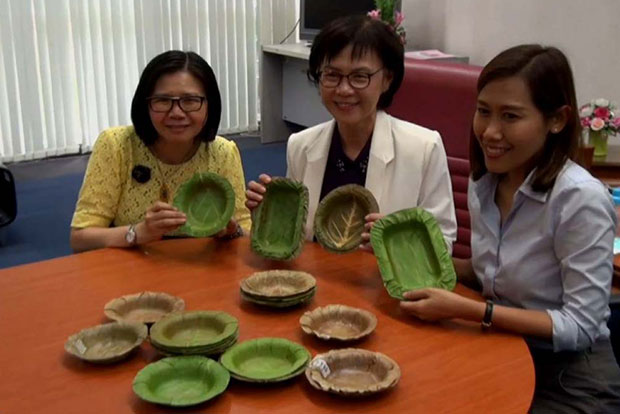 New, Sustainable, Leak-Proof Bowls Are Made From Leaves To Replace Disposable Plastic...