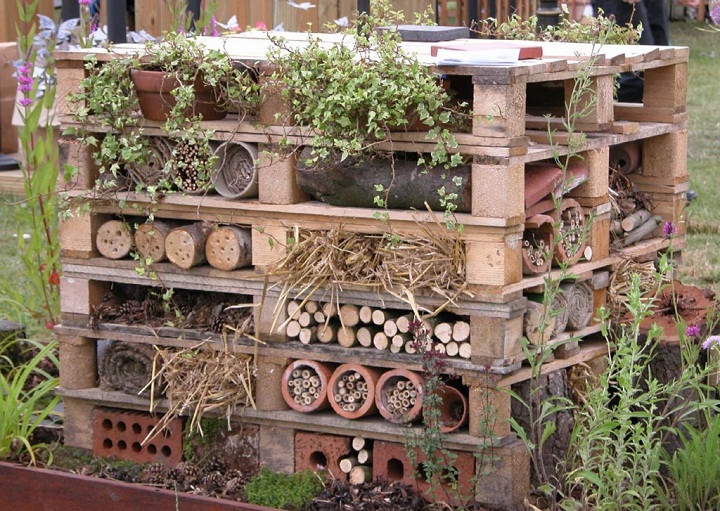 Attract Beneficial Insects & Bees With Your Own Insect Hotel...