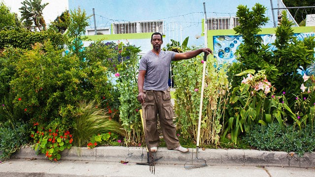 In L.A. You Can Use City Land To Create A Free Vegetable Garden...