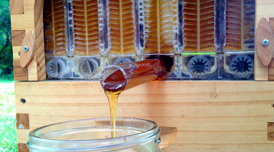 Beehive Lets You Harvest Honey Automatically Without Disturbing Bees...