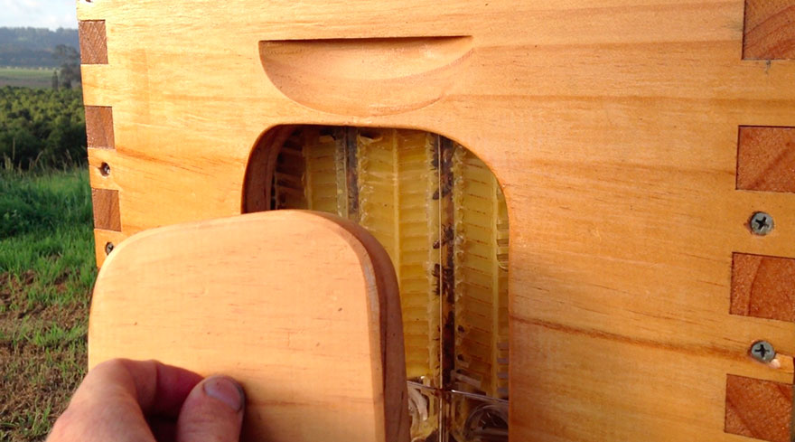 Beehive Lets You Harvest Honey Automatically Without Disturbing Bees...