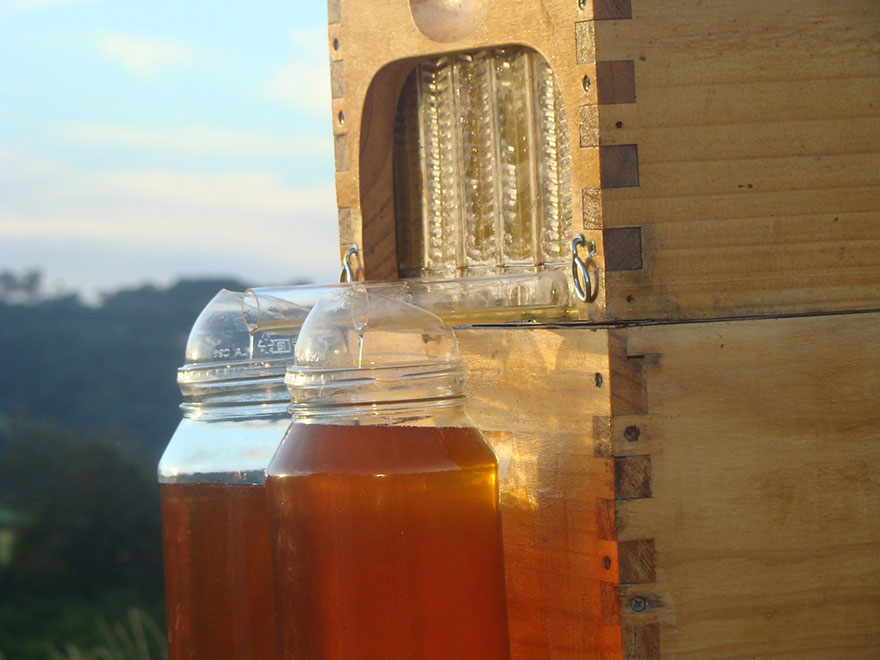 Beehive Lets You Harvest Honey Automatically Without Disturbing Bees...