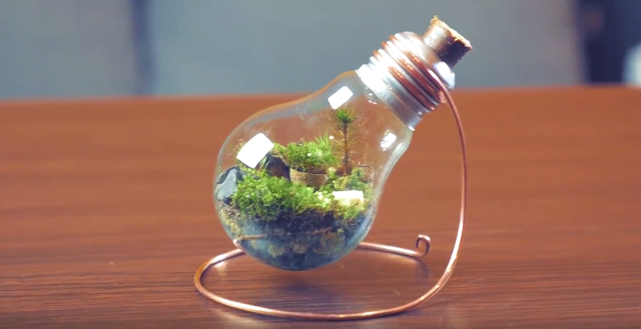 How To Make A Miniature Garden In A Lightbulb...