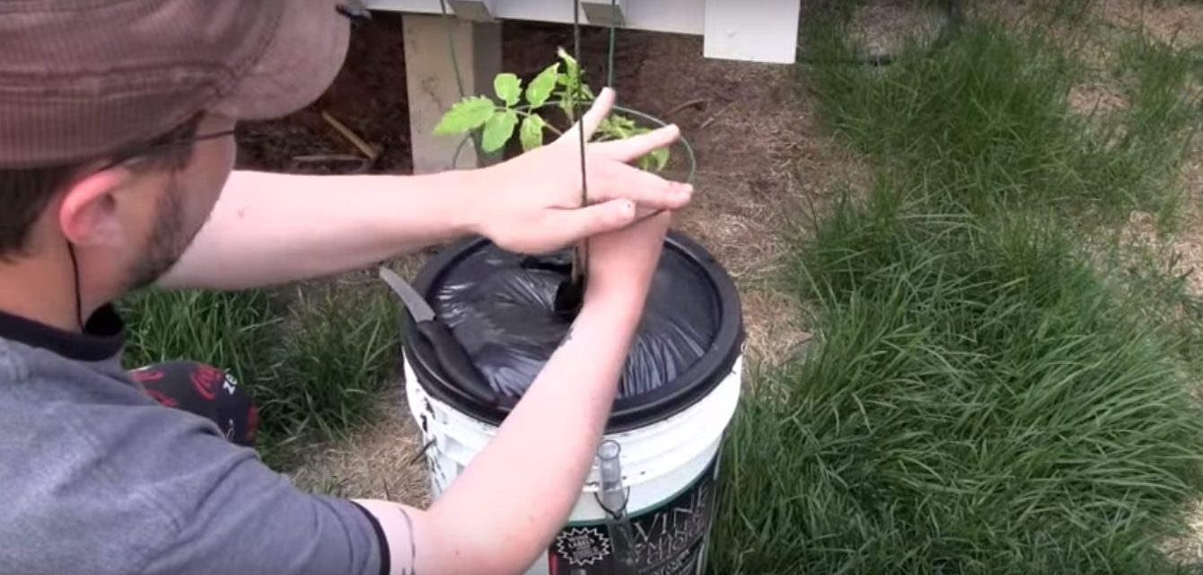 How To Build A DIY Self-Watering Container For Your Vegetable Garden...