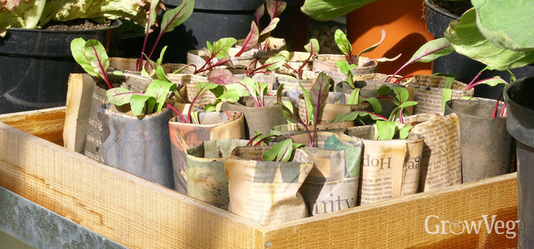 Recycling Ideas For The Garden To Save Money & Be More Eco Friendly...