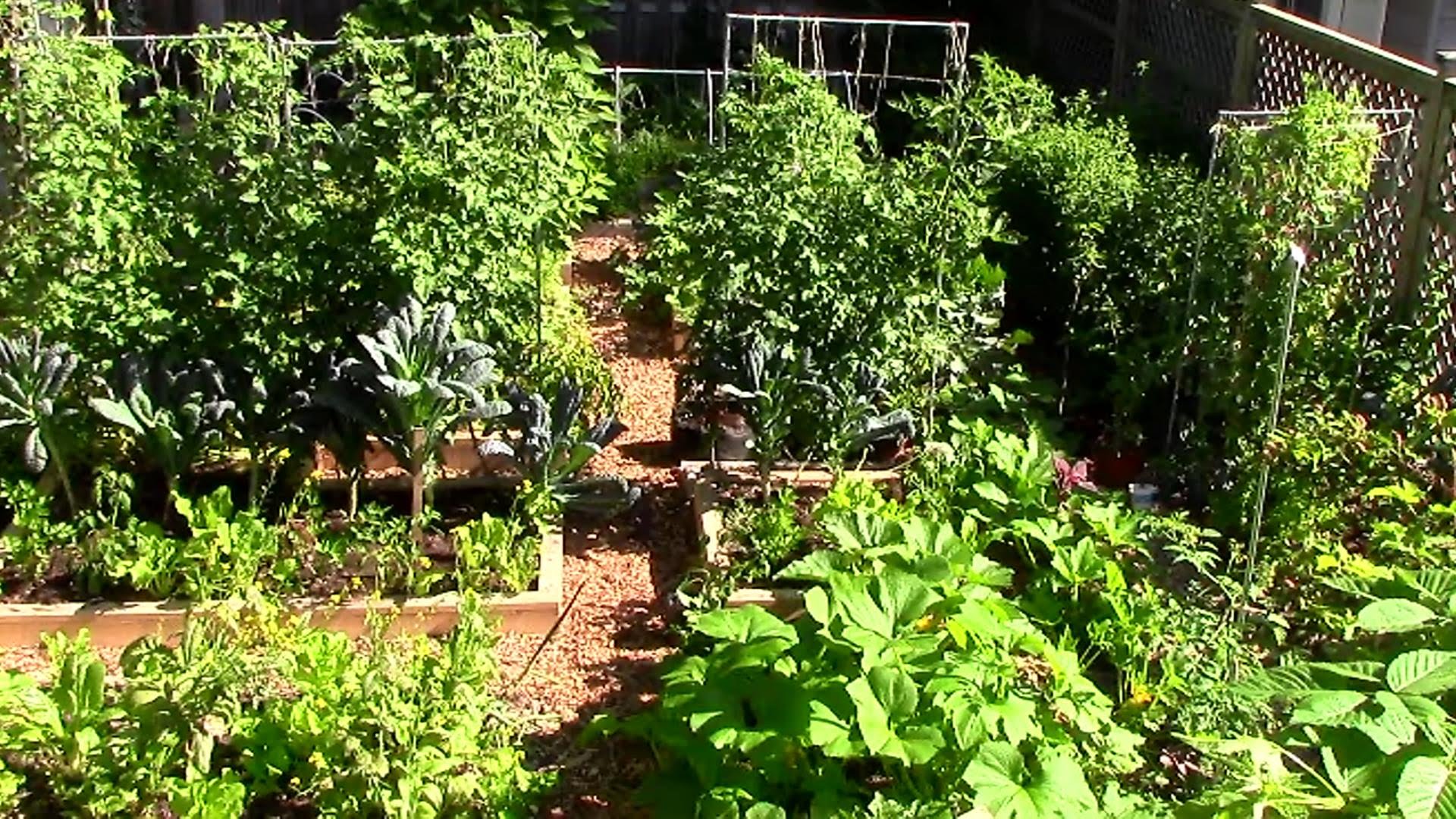 9 Easy Tips To Grow A Lot Of Food In A Small Garden...