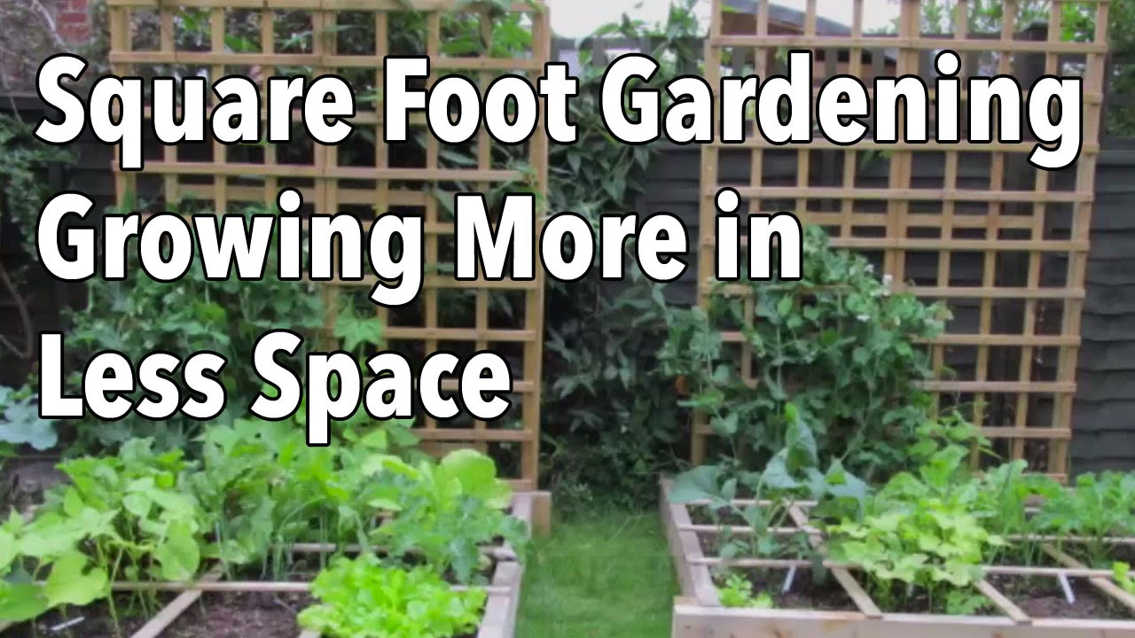 Square Foot Gardening, Growing More Food In Less Space...