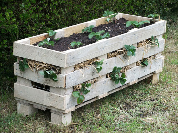 How To Make A Strawberry Pallet Planter...