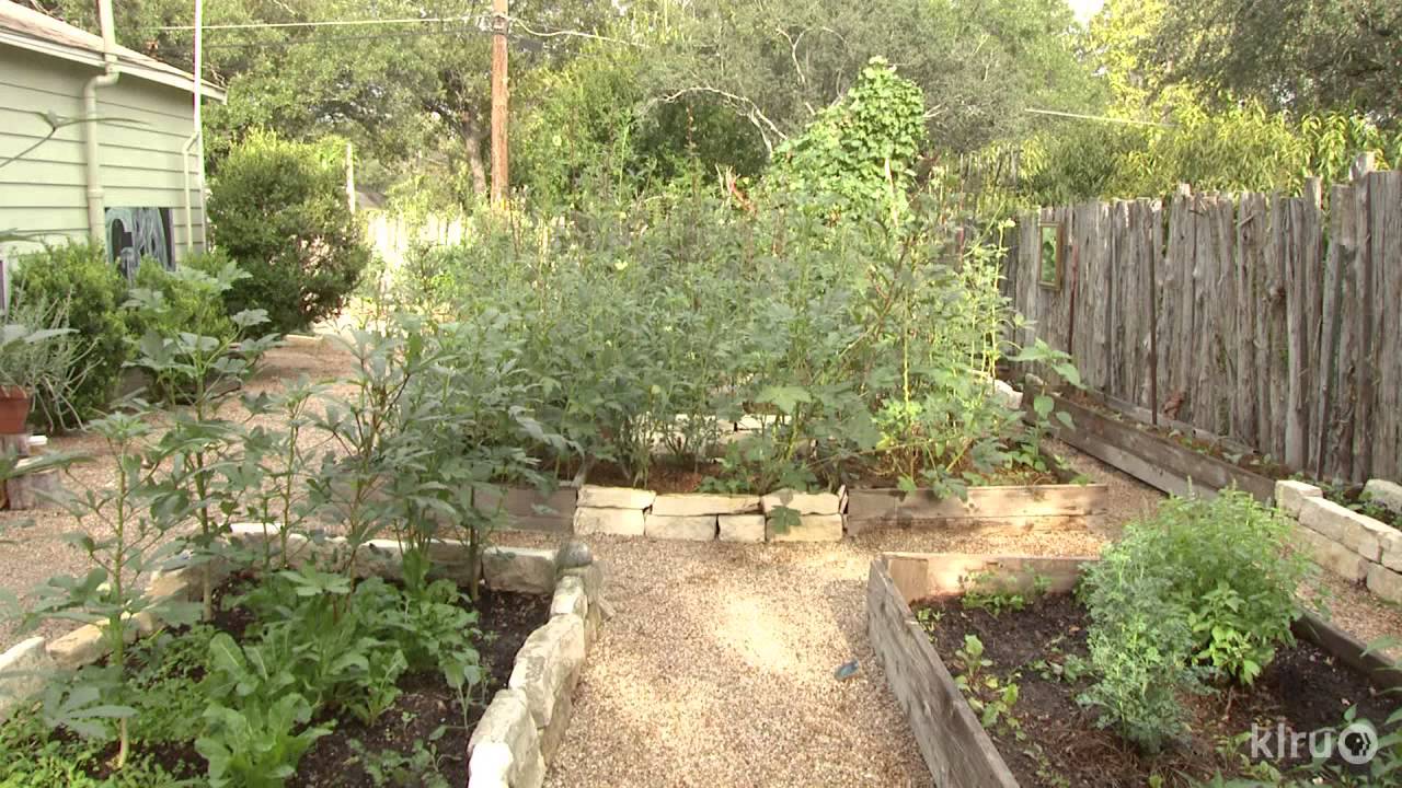 How To Turn A Lawn Into A Productive Food Garden On A Budget...