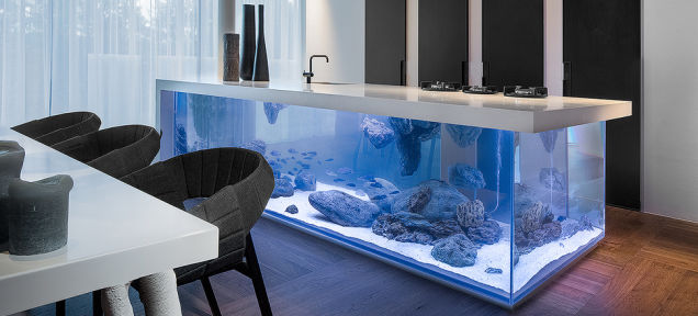 This Amazing Aquarium Brings The Ocean Into The Kitchen...