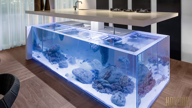 This Amazing Aquarium Brings The Ocean Into The Kitchen...