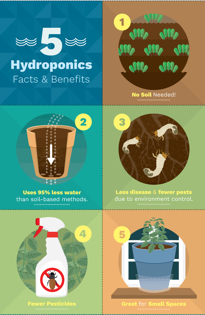 6 Different Hydroponic Gardening Systems For Growing Food...