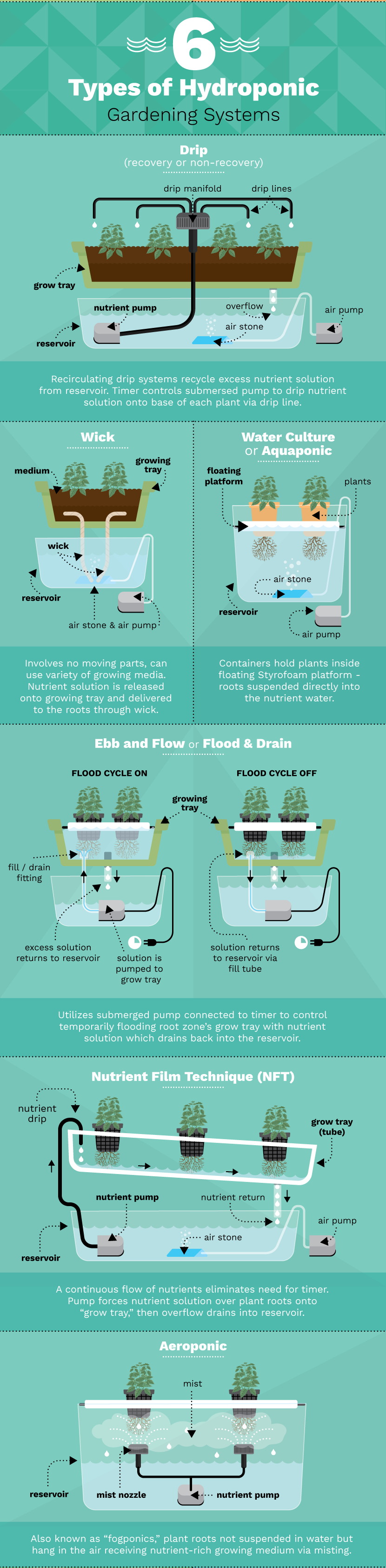 6 Different Hydroponic Gardening Systems For Growing Food...