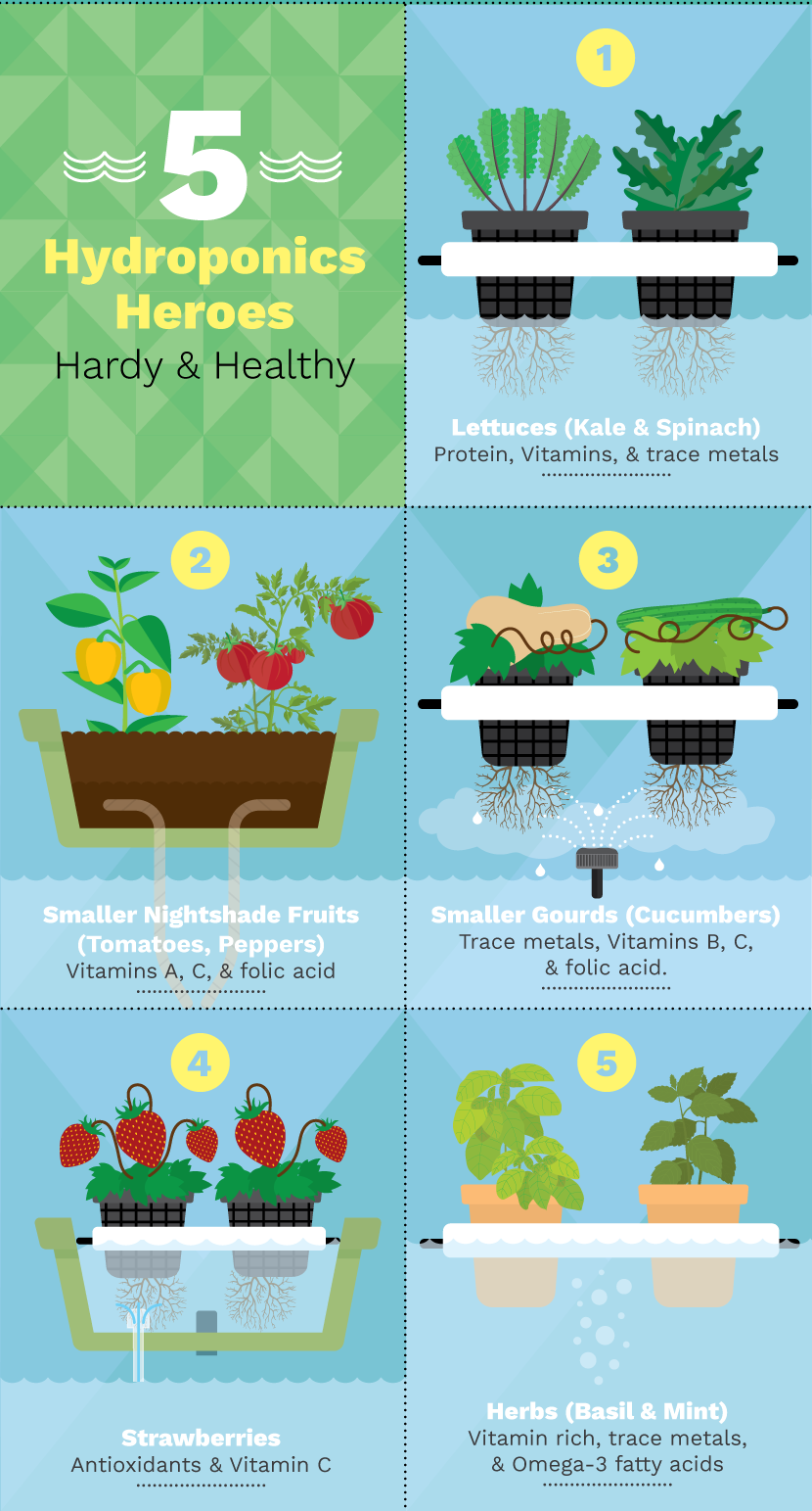 6 Different Hydroponic Gardening Systems For Growing Food...