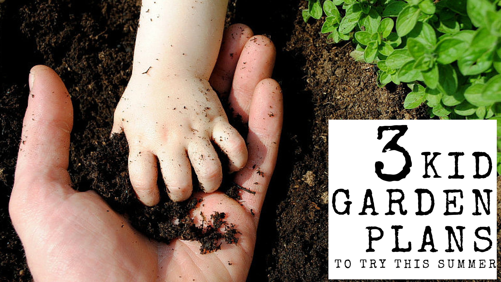 How To Grow An Easy Kids Garden...