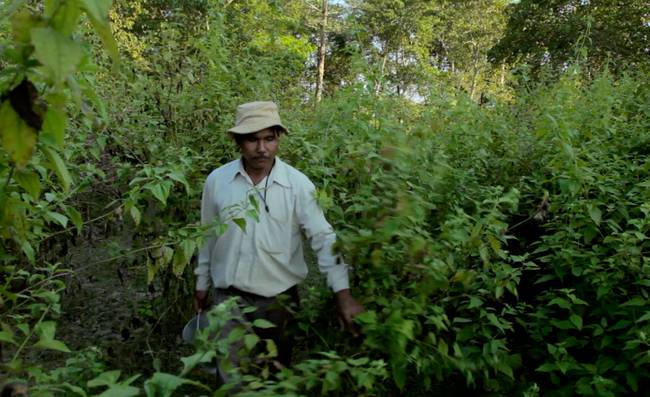 Since The 1970’s A Man Has Been Planting A Forest Larger Than Central Park...