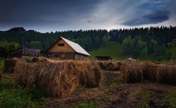 Russia Is Giving Away Free Land To Any Citizen Who Will Work It...