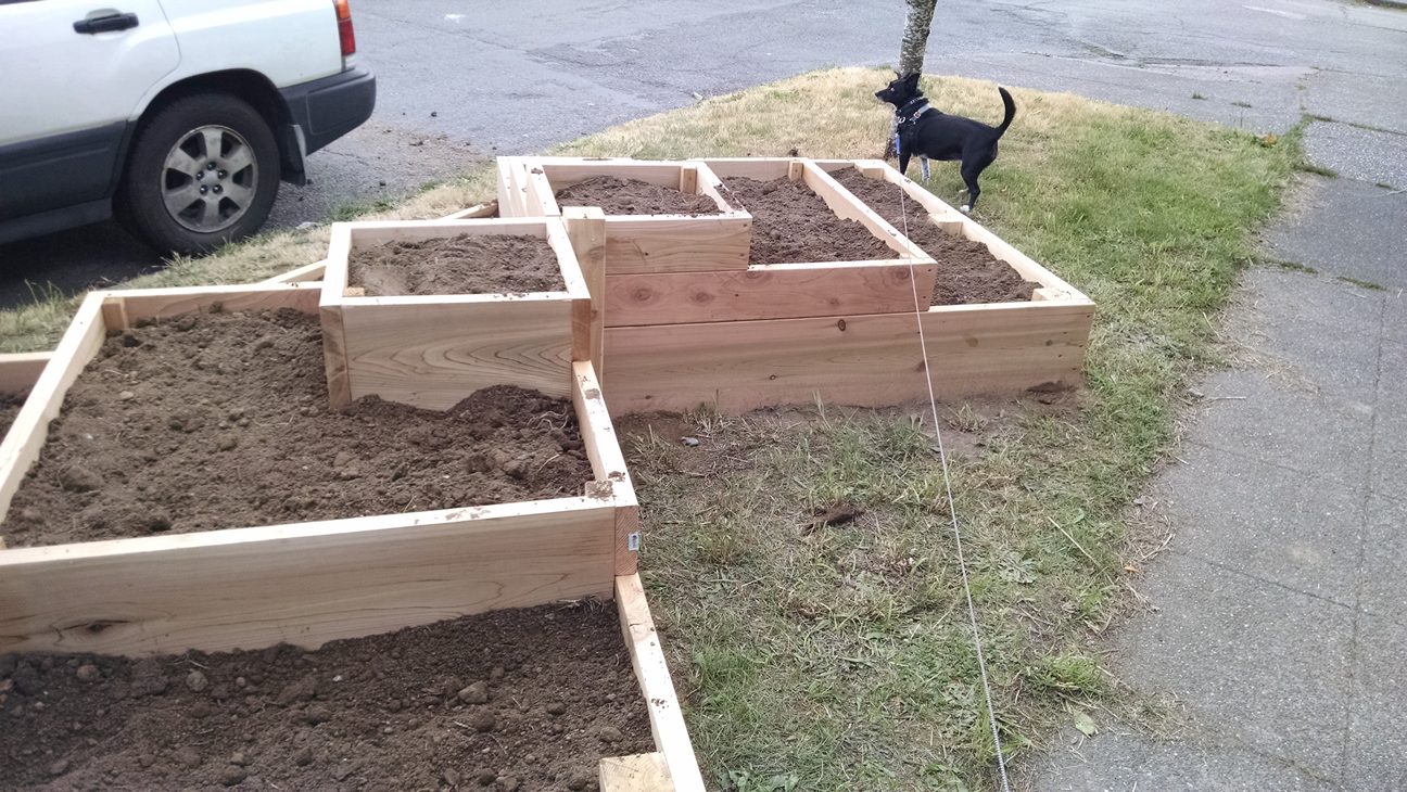 Couple Build A Raised Garden On Their Front Lawn To Grow Food For Themselves & Their Neighbors...