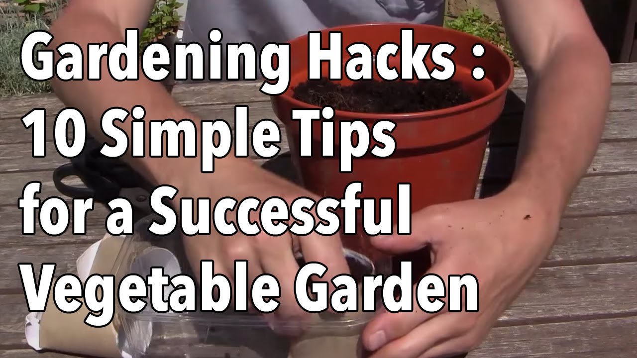 Gardening Hacks – 10 Simple Tips For A Successful Vegetable Garden...