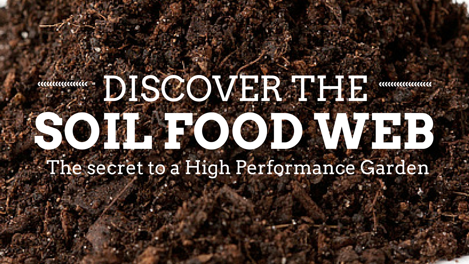 Building A Super Soil Food Web For The Best Garden...