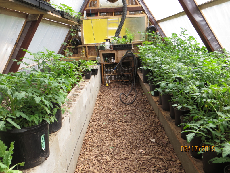 Timber Frame Swing Set Repurposed Into An Awesome Underground Greenhouse...