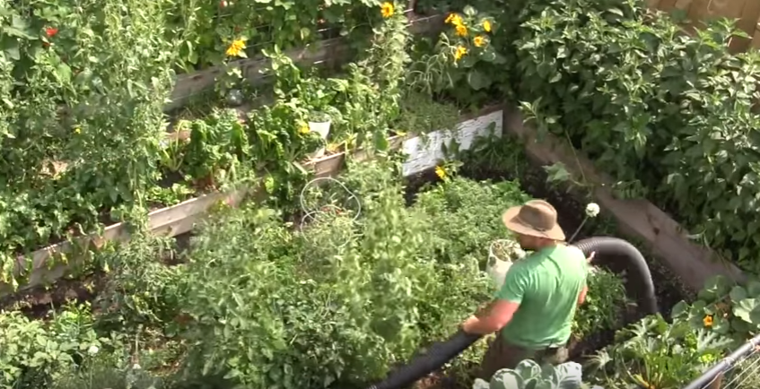 How To Design, Build & Combine Garden & Food Forest Swales & Pathways In An Urban Environment...