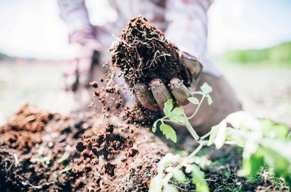 How The World's Most Fertile Soil Can Help Reverse Climate Change...