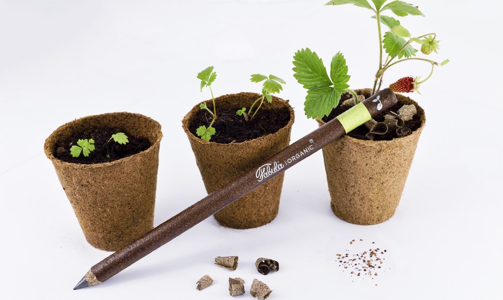 This Pencil Made Out Of Recycled Coffee, Tea & Flower Petals Grows Into A New Plant When It's Finished...