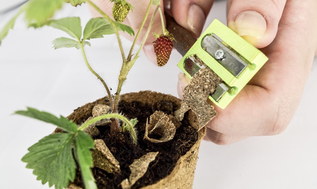 This Pencil Made Out Of Recycled Coffee, Tea & Flower Petals Grows Into A New Plant When It's Finished...