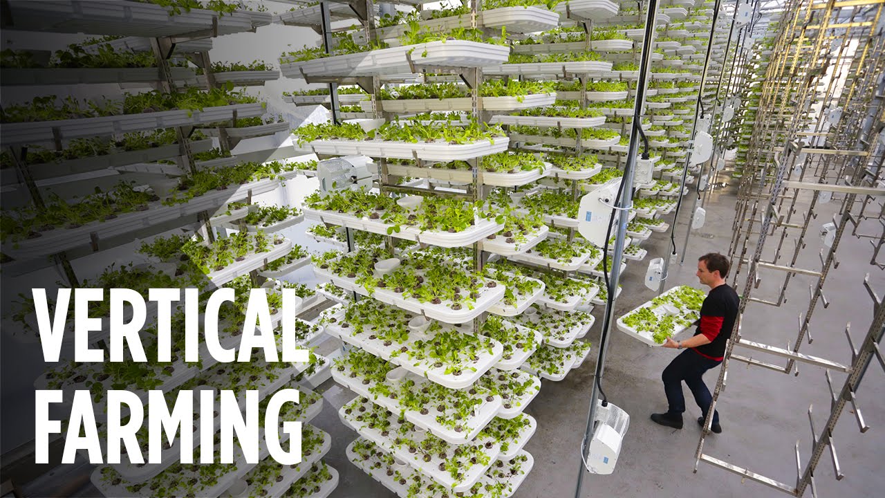This Farm Of The Future Uses No Soil And 95% Less Water...