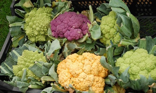 How To Grow Broccoflower & Romanesco Varieties Of Broccoli...