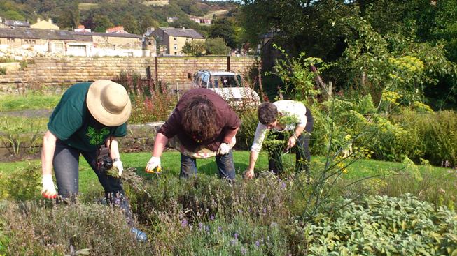 How We Can Eat Our Landscapes...