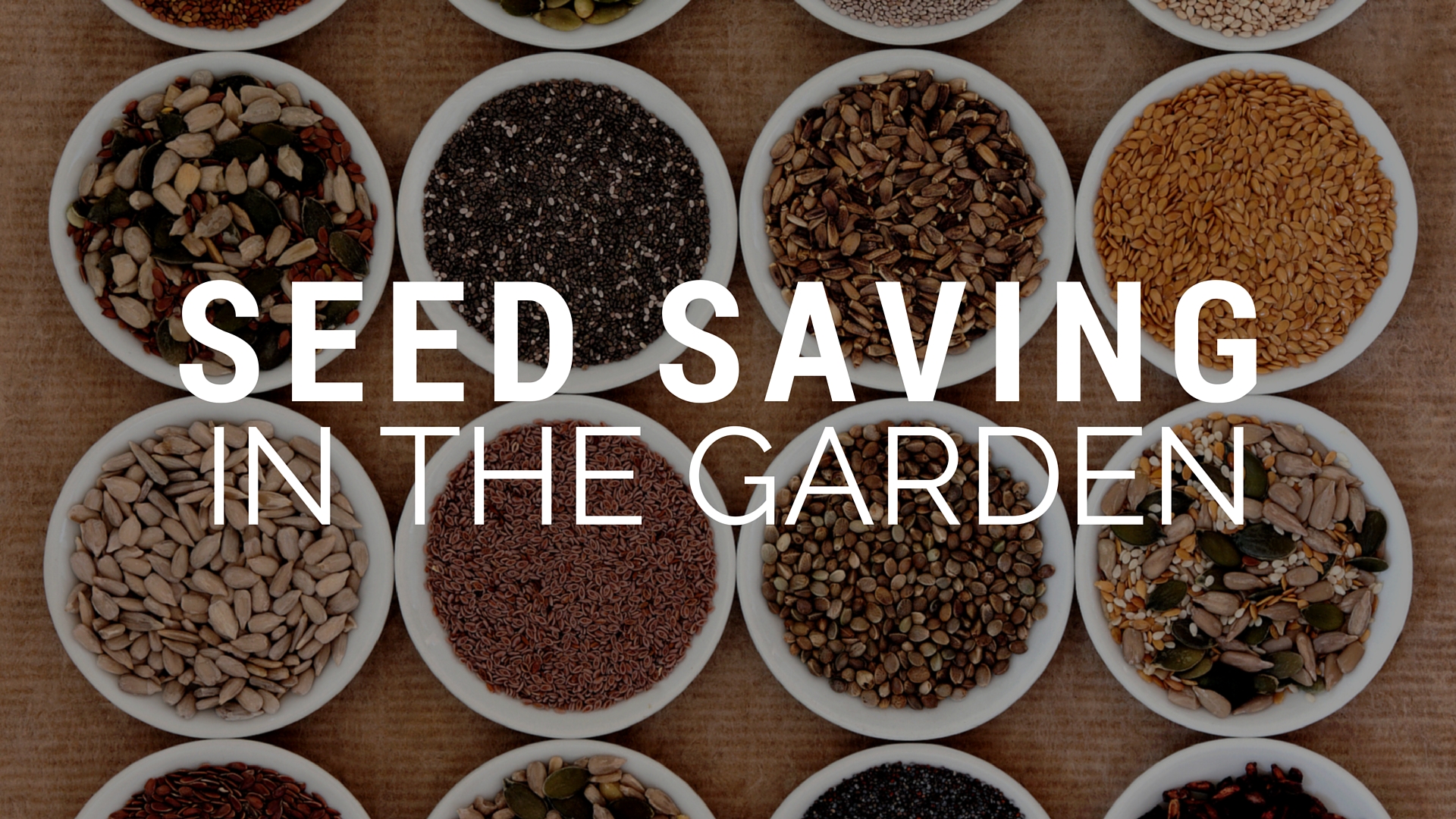 How To Save Seeds In Your Garden...