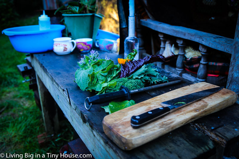 This Man’s Forest Den Home Only Cost $12 To Build...