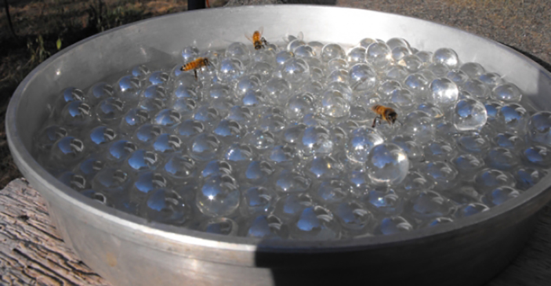 Make A Bee Waterer And Help Hydrate Our Pollinators...