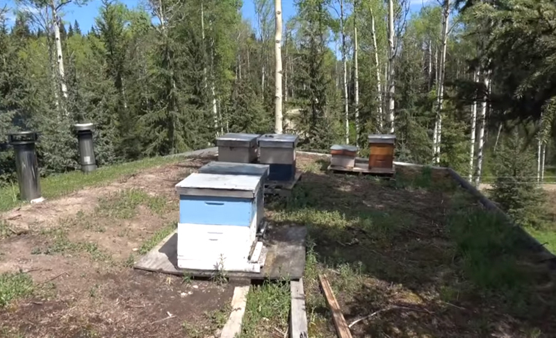 This Family Of 7 Live Completely Off The Grid In Northern Canada...