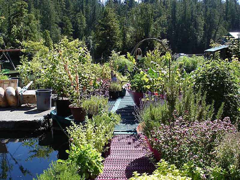 Self-Sufficient Couple Builds Their Own Floating Off-Grid Island...