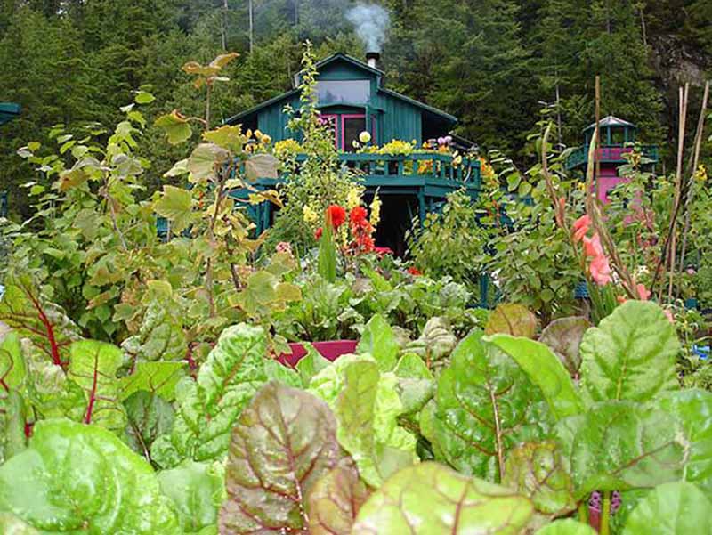 Self-Sufficient Couple Builds Their Own Floating Off-Grid Island...