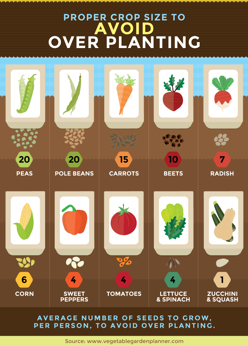 How To Use Excess Produce From Your Garden Harvest...