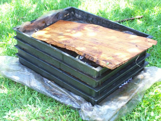 5 dollar, 1/2 hour Worm Composting Bin(s) DIY...