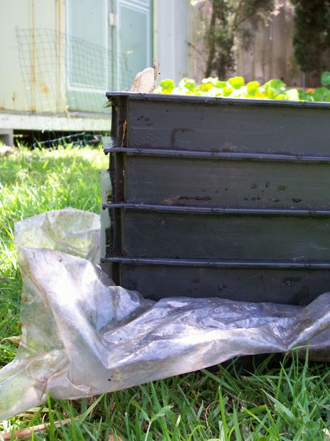 5 dollar, 1/2 hour Worm Composting Bin(s) DIY...