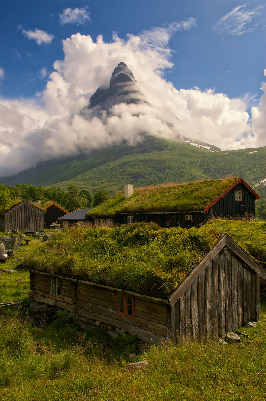 These Beautiful Green Roofed Scandinavian Homes Look Like Something Out Of A Fairytale...