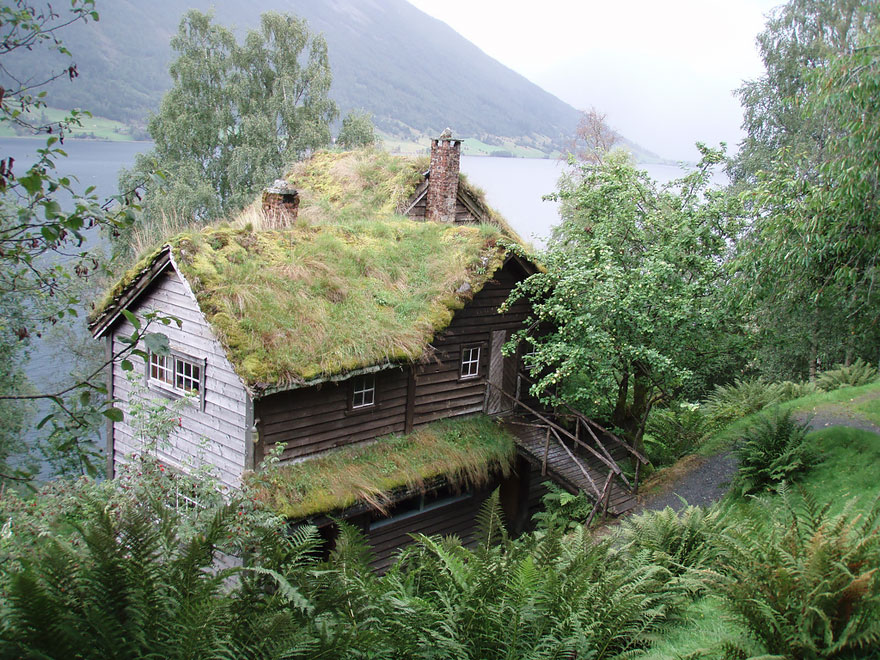 These Beautiful Green Roofed Scandinavian Homes Look Like Something Out Of A Fairytale...