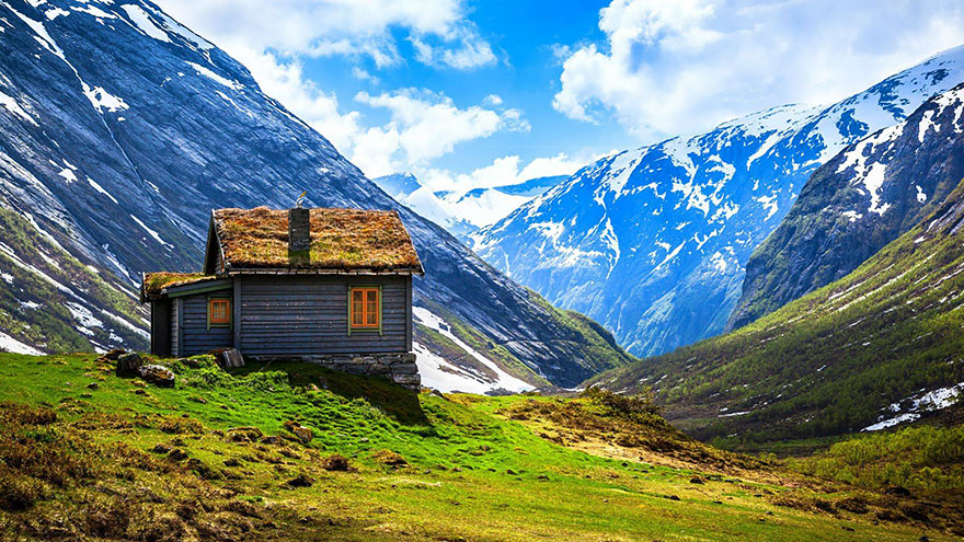 These Beautiful Green Roofed Scandinavian Homes Look Like Something Out Of A Fairytale...