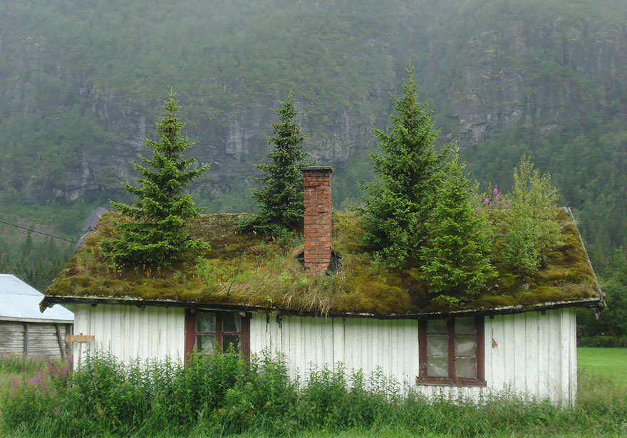 These Beautiful Green Roofed Scandinavian Homes Look Like Something Out Of A Fairytale...