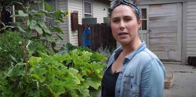 A Small Rented Lot In Oakland Turned Into A Homestead For Urban Self-Reliance...