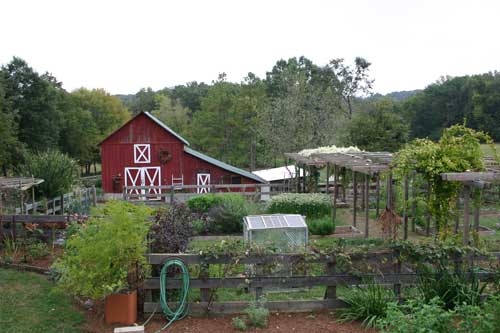 Want To Double World Food Production? Return The Land To Small Farmers...